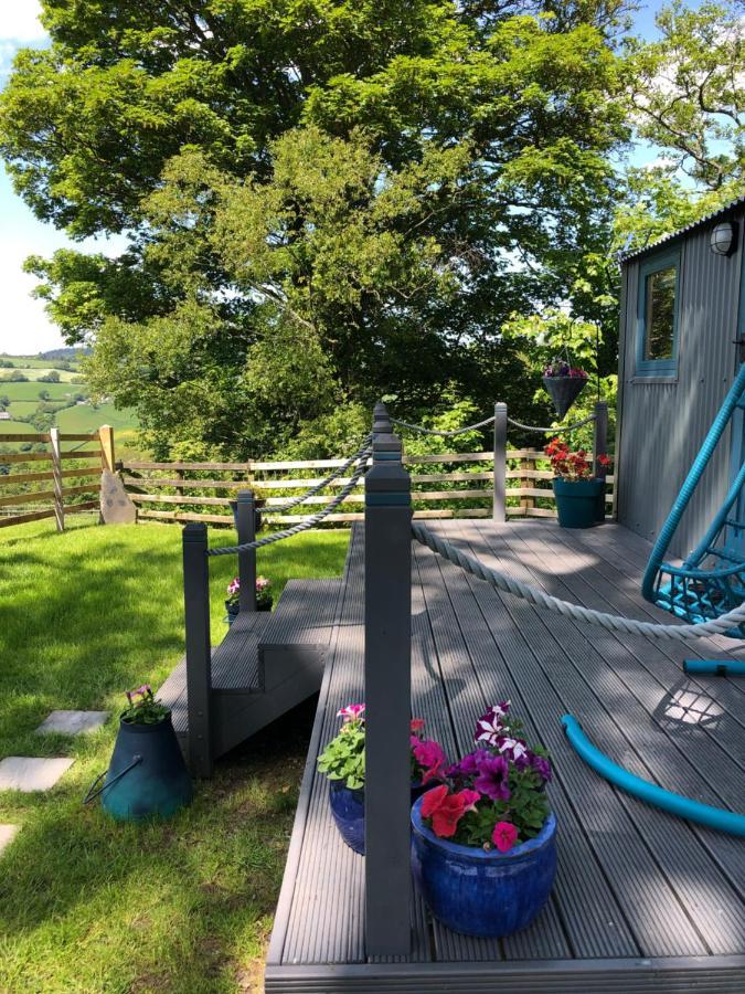 The Peacock Shepherds Hut At Hafoty Boeth Corwen Exterior photo