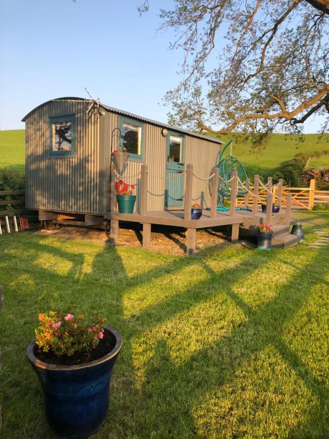 The Peacock Shepherds Hut At Hafoty Boeth Corwen Exterior photo