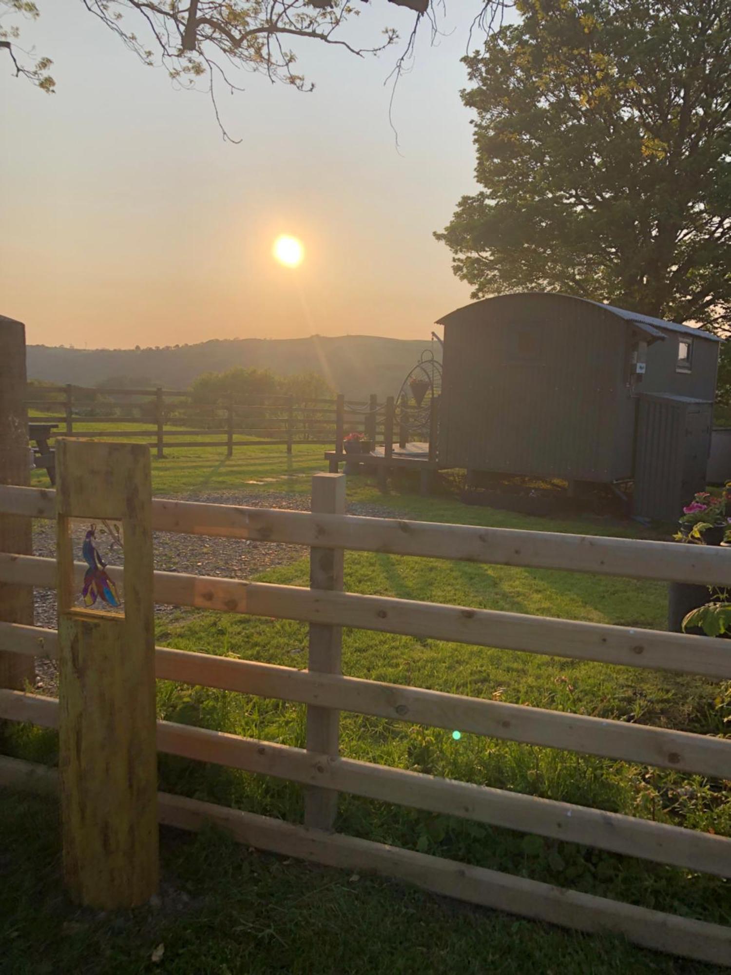 The Peacock Shepherds Hut At Hafoty Boeth Corwen Exterior photo
