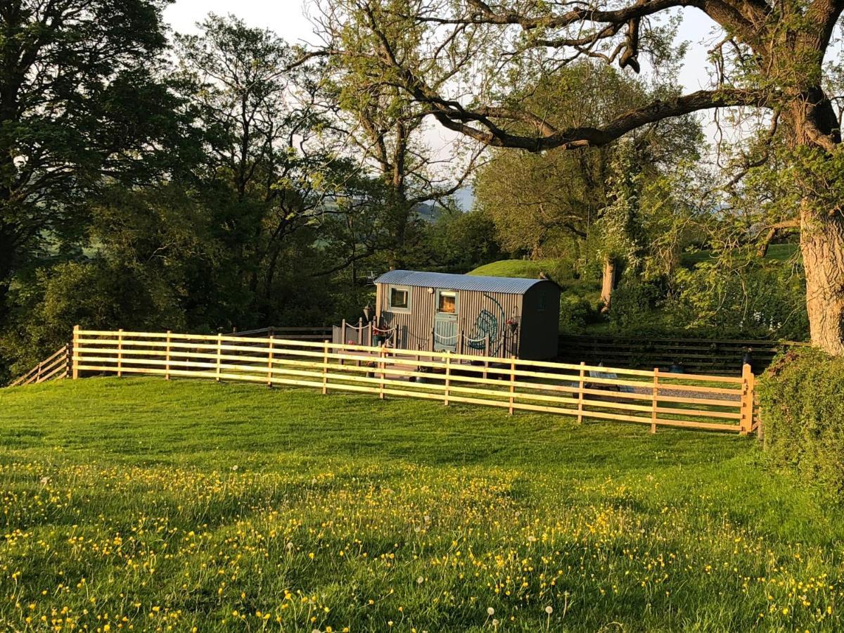 The Peacock Shepherds Hut At Hafoty Boeth Corwen Exterior photo