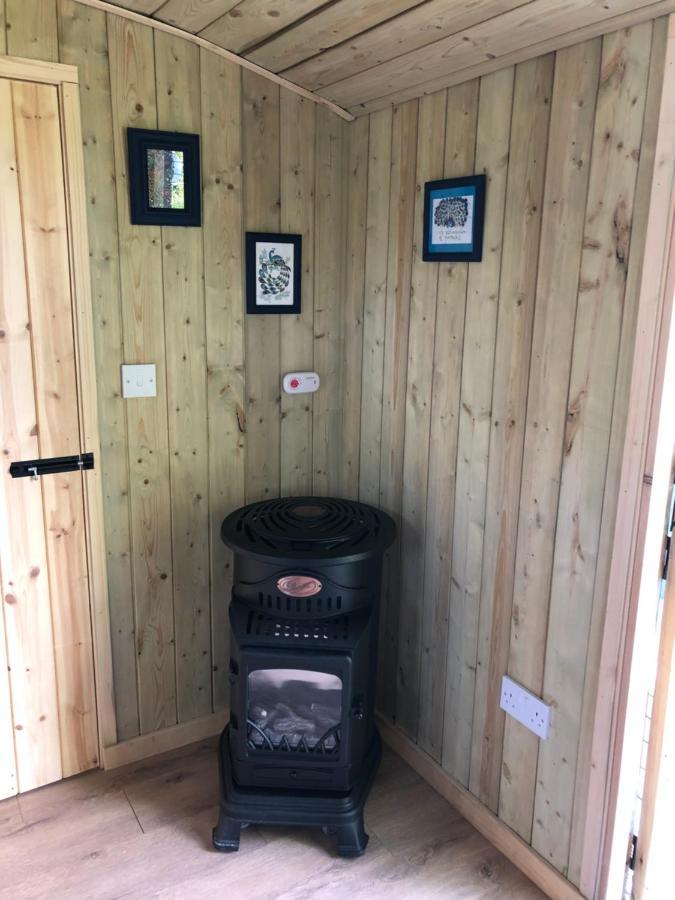 The Peacock Shepherds Hut At Hafoty Boeth Corwen Exterior photo